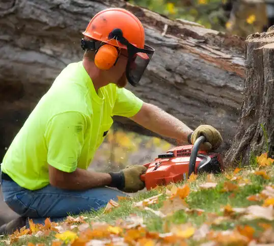 tree services Pettisville